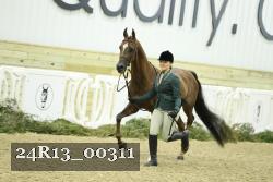 24R13_00311 thumbnail