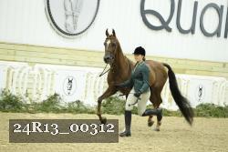 24R13_00312 thumbnail