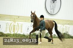24R13_00313 thumbnail