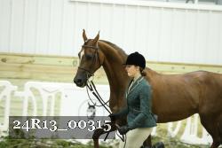 24R13_00315 thumbnail