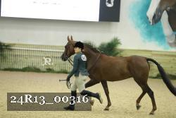 24R13_00316 thumbnail