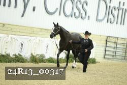 24R13_00317 thumbnail