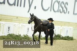 24R13_00318 thumbnail