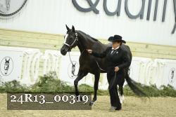 24R13_00319 thumbnail