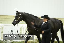 24R13_00322 thumbnail