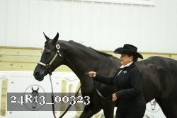 24R13_00323 thumbnail