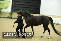 24R13_00325 thumbnail