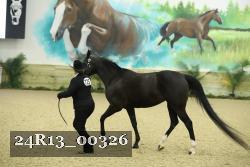 24R13_00326 thumbnail
