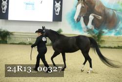 24R13_00327 thumbnail