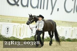 24R13_00328 thumbnail