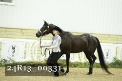 24R13_00331 thumbnail