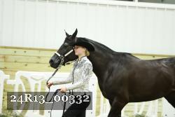 24R13_00332 thumbnail