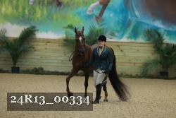 24R13_00334 thumbnail