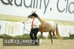 24R13_00338 thumbnail