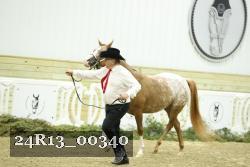 24R13_00340 thumbnail