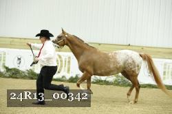 24R13_00342 thumbnail