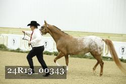 24R13_00343 thumbnail