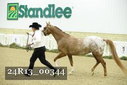 24R13_00344 thumbnail