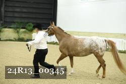 24R13_00345 thumbnail