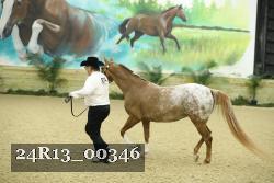 24R13_00346 thumbnail
