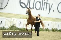 24R13_00347 thumbnail