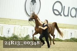 24R13_00348 thumbnail