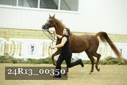 24R13_00350 thumbnail