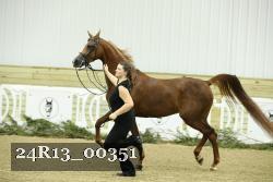 24R13_00351 thumbnail