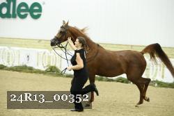 24R13_00352 thumbnail