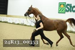 24R13_00353 thumbnail