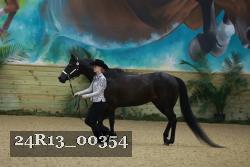 24R13_00354 thumbnail