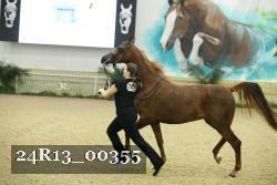 24R13_00355 thumbnail