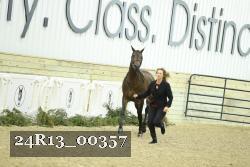 24R13_00357 thumbnail