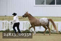 24R13_00358 thumbnail