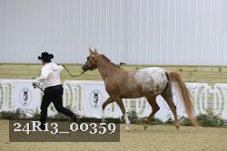 24R13_00359 thumbnail