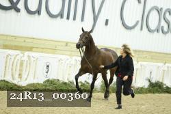 24R13_00360 thumbnail