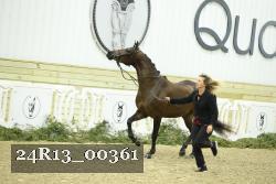 24R13_00361 thumbnail