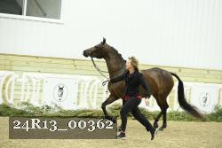 24R13_00362 thumbnail