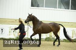 24R13_00364 thumbnail
