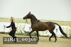 24R13_00366 thumbnail