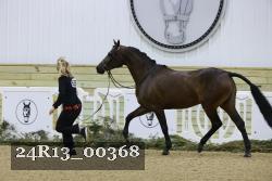 24R13_00368 thumbnail