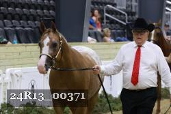 24R13_00371 thumbnail