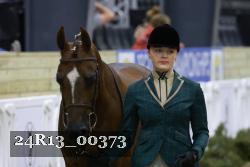24R13_00373 thumbnail