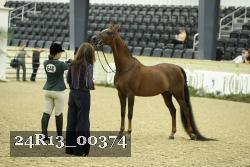 24R13_00374 thumbnail