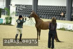 24R13_00375 thumbnail