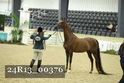 24R13_00376 thumbnail