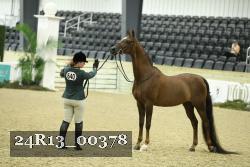 24R13_00378 thumbnail