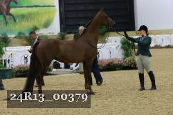 24R13_00379 thumbnail