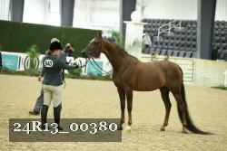 24R13_00380 thumbnail