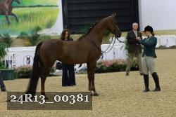 24R13_00381 thumbnail